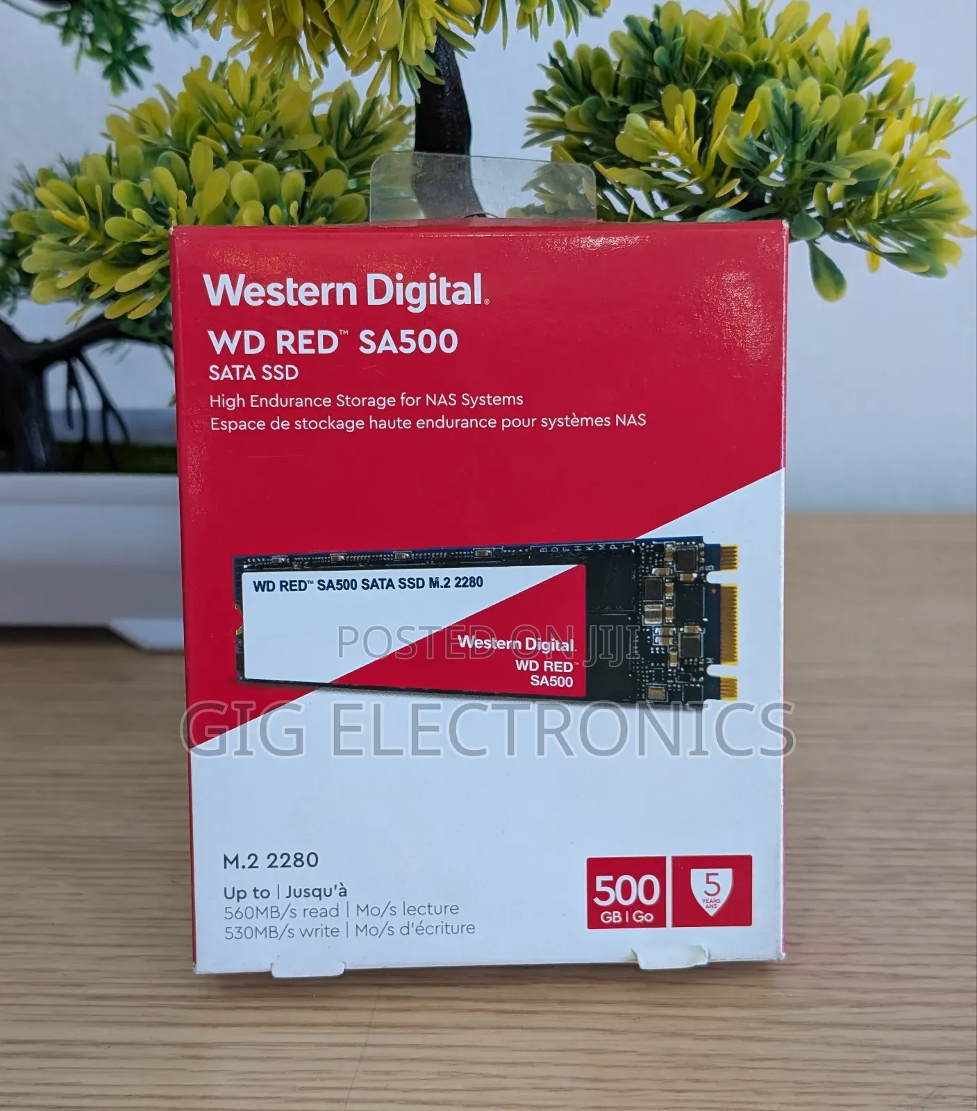 Wd 500gb SSD Sata M.2 2280 Internal Drive