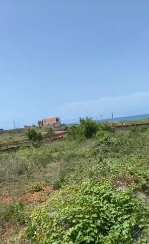 Beach View 20 Plots at Gomoa Fetteh Nyanyano