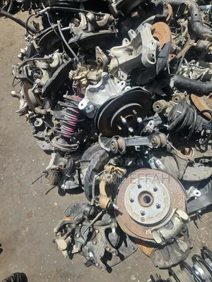 Complete Hub and Shocks