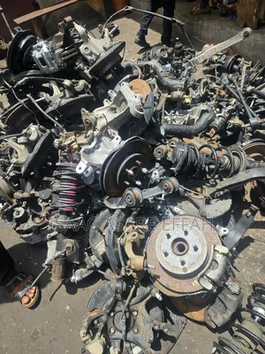 Complete Hub and Shocks