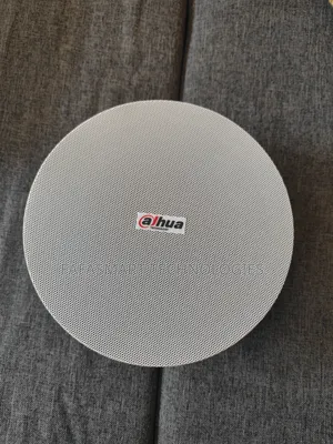 Dahua Ceiling Speaker