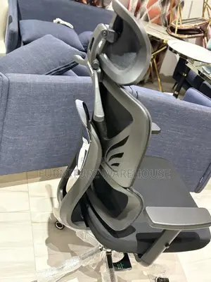 Ergonomic Office Chair