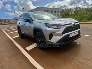 Toyota RAV4 LE AWD 2024 Silver