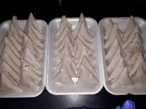 Frozen Samosa