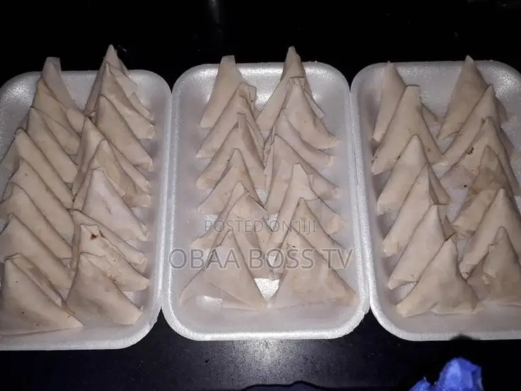 Frozen Samosa