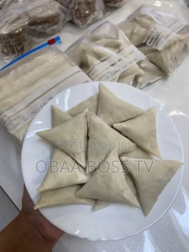 Frozen Samosa