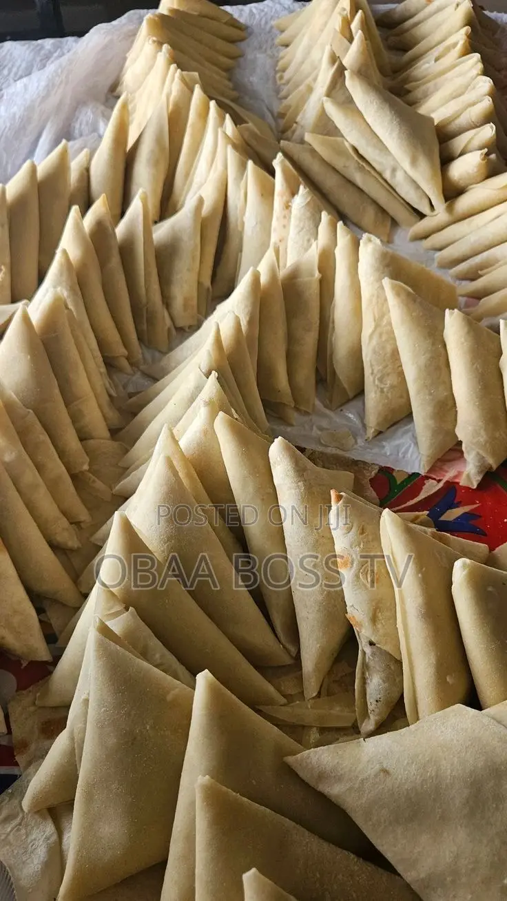 Frozen Samosa