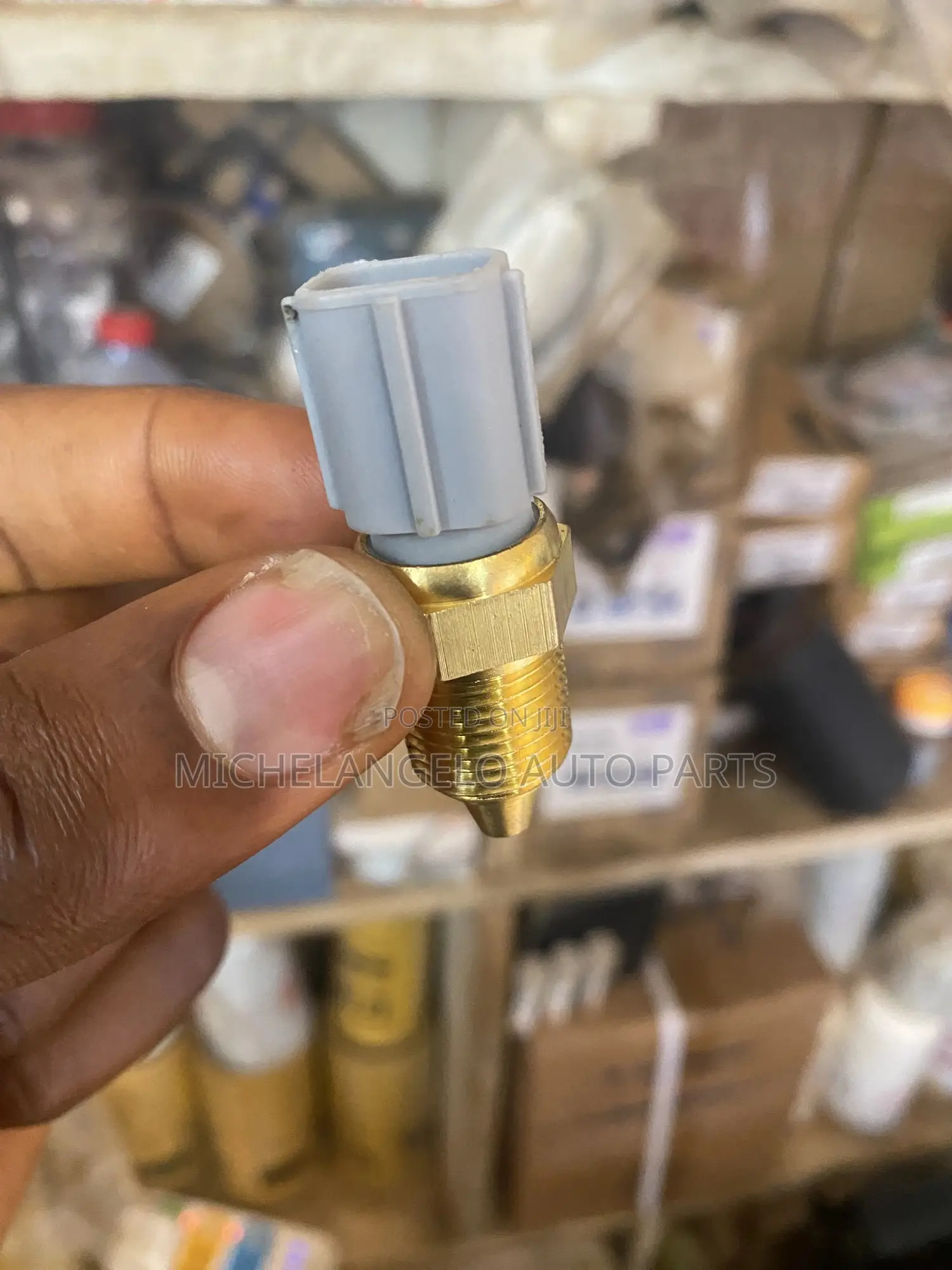 Temperature Sensor Ford