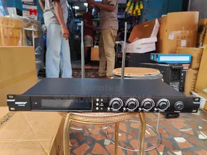 Shura Fgx400 Professional Wireless Microphone