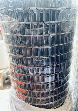 1/2 by 1 Inch Galvanized Roll Mesh