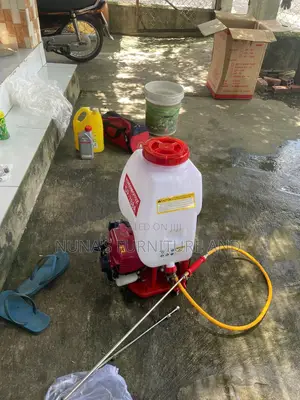 Fumigation Service