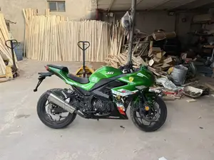 Motorcycle 2025 Green