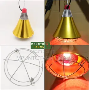 Electric Ceramic Lamp Holder for Brooding