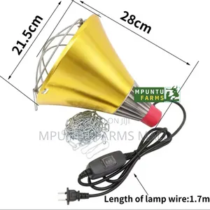 Electric Ceramic Lamp Holder for Brooding