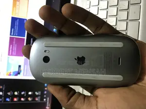 Apple Mouse