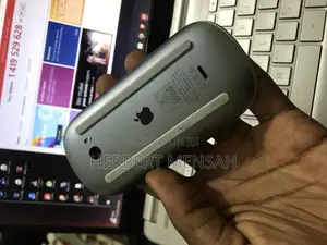 Apple Mouse