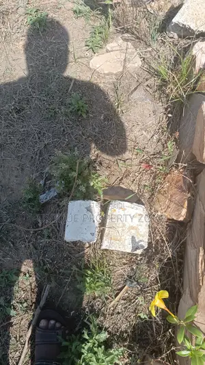 Registered Titled Land for Sale
