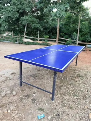 Table Tennis Board With Accessories