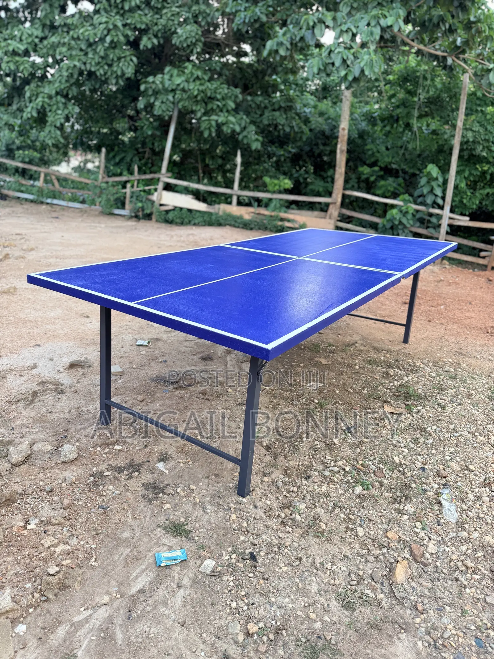 Table Tennis Board With Accessories