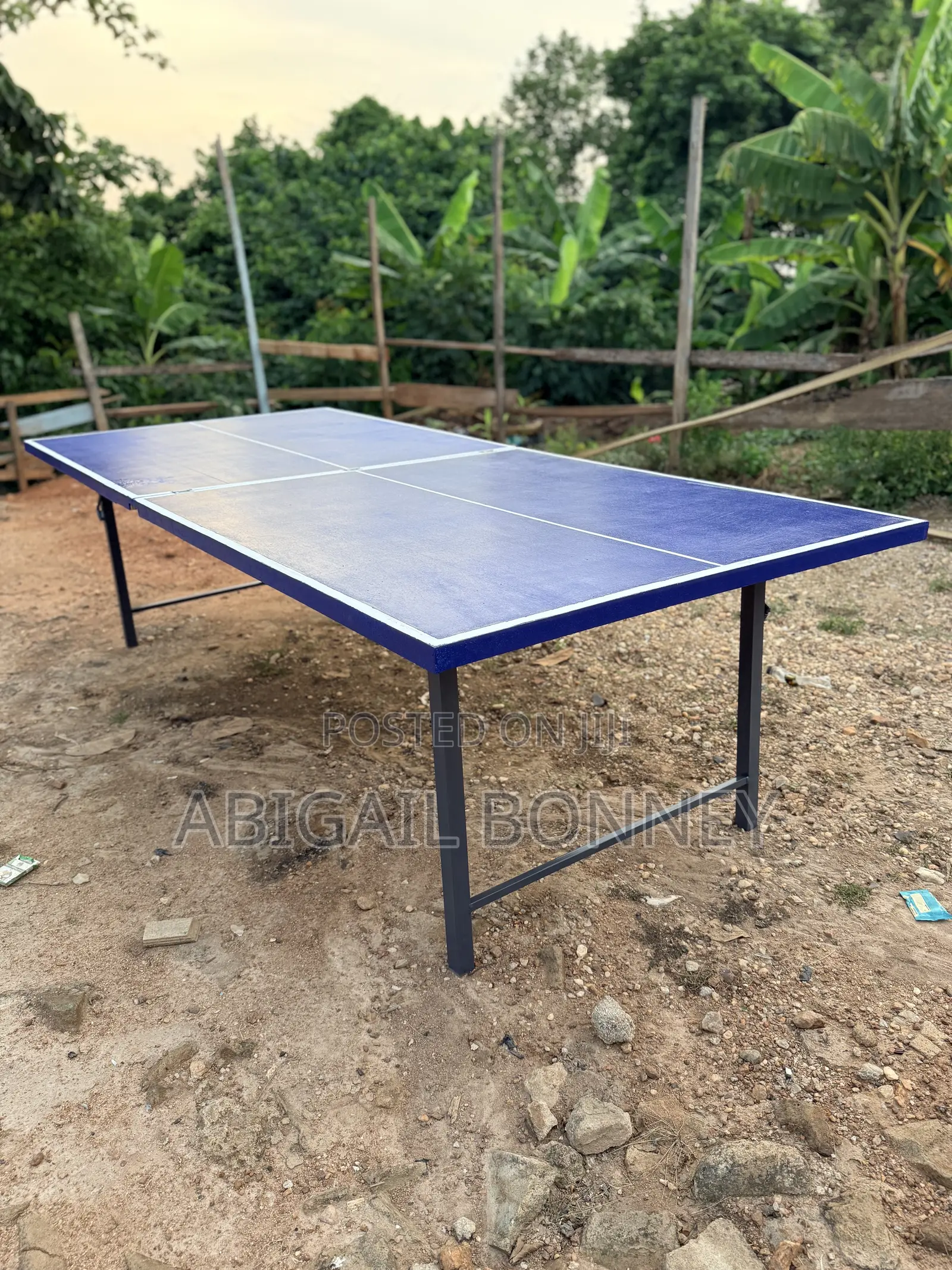 Table Tennis Board With Accessories