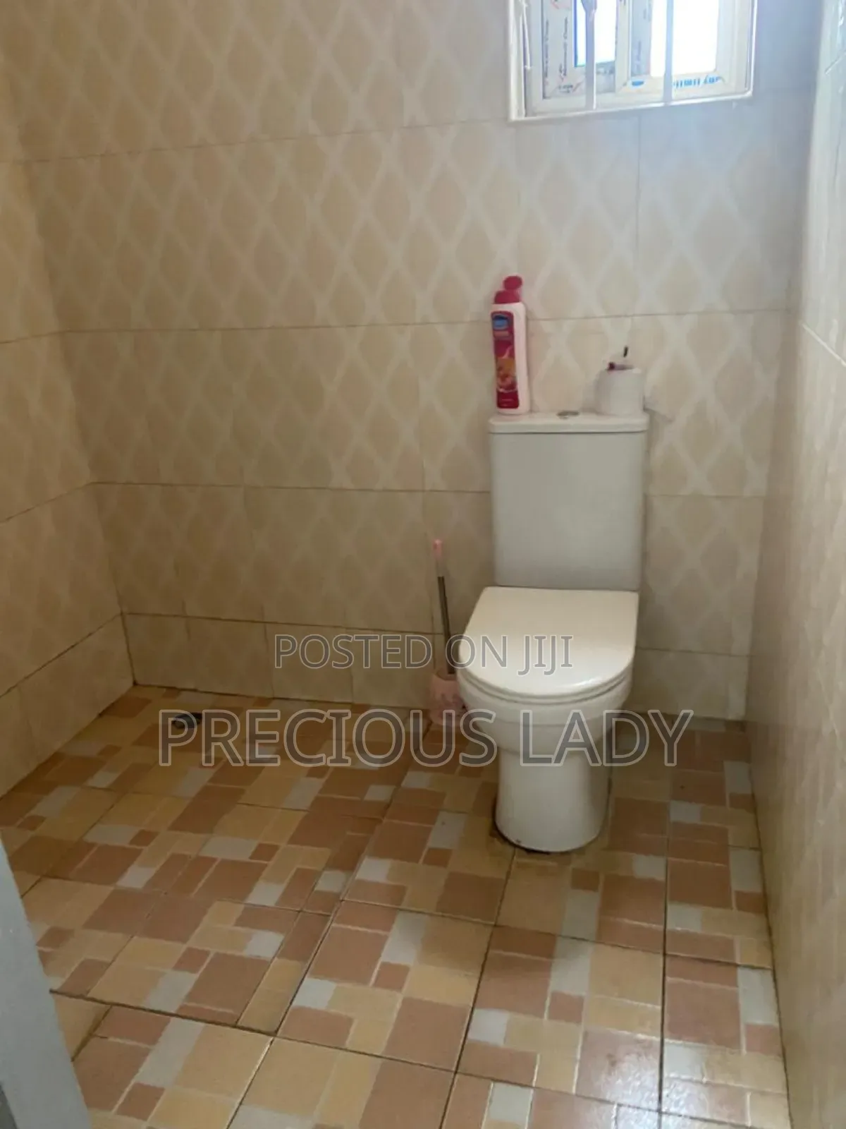 Furnished Mini Flat in Pokuase Amanfrom for rent