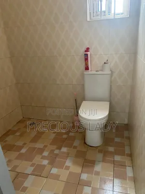 Furnished Mini Flat in Pokuase Amanfrom for rent