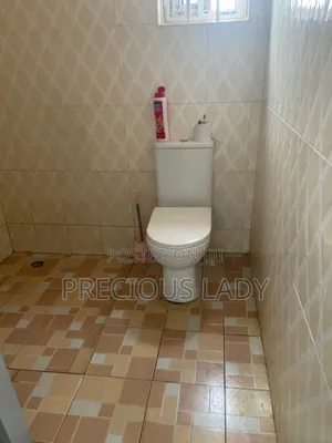 Furnished Mini Flat in Pokuase Amanfrom for rent