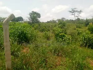 Road Side Land for Sale