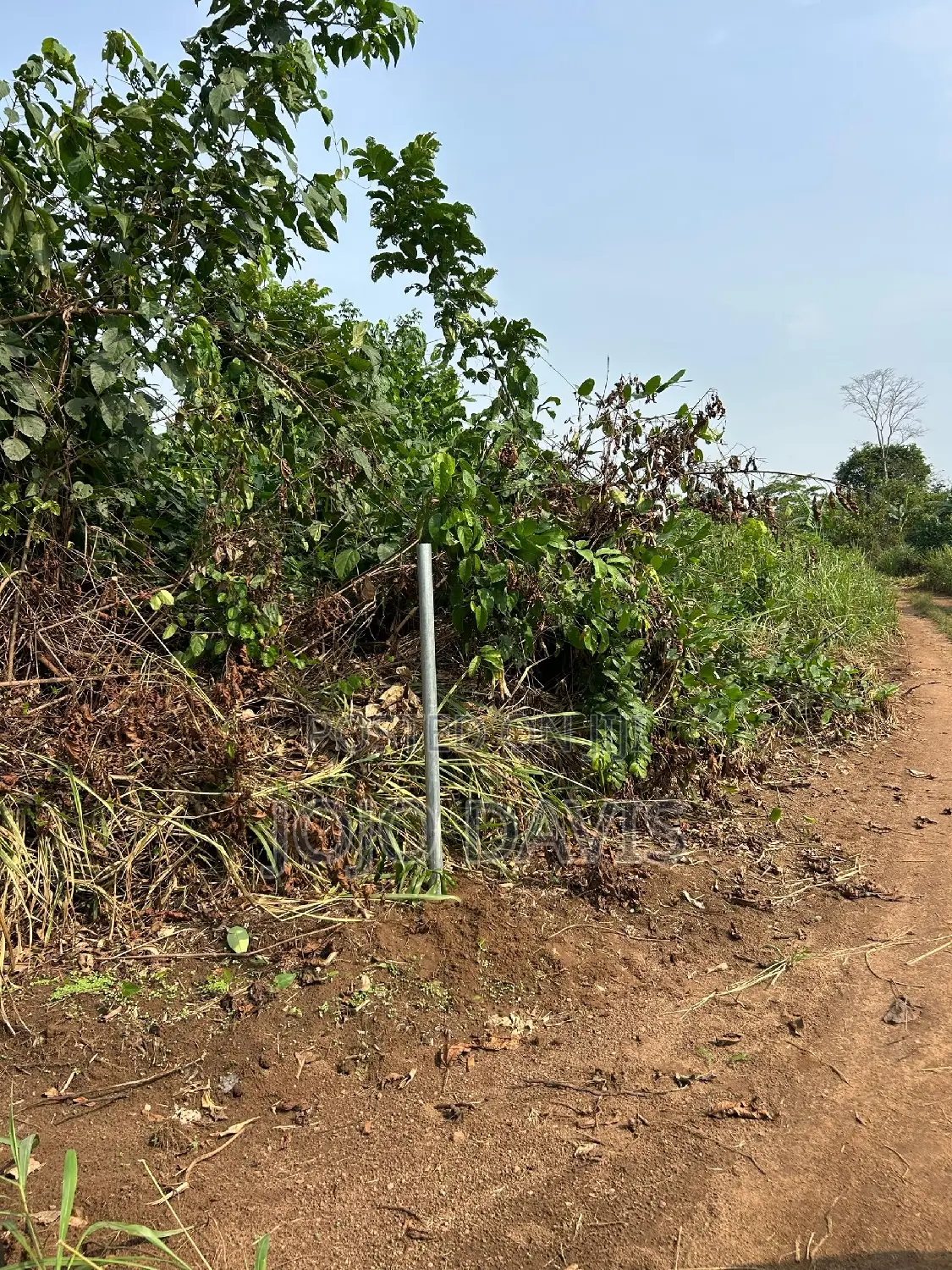 30 Acres Farm Land Selling