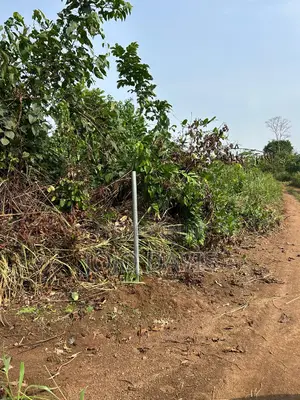 30 Acres Farm Land Selling