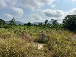 46 Poots Of Land Selling