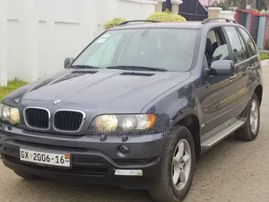 BMW X5 xDrive30d 2010 Gray