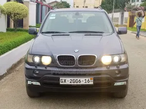 BMW X5 xDrive30d 2010 Gray