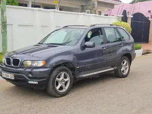 BMW X5 xDrive30d 2010 Gray
