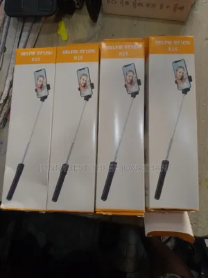 Mini Selfie Stick