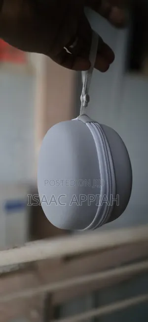 Traveling Next Support Pillow
