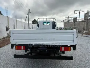 Mini Truck
