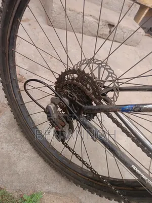 Mountain Bike