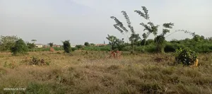 13 Acre Land for Sale at Ayi Mensah