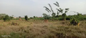 13 Acre Land for Sale at Ayi Mensah