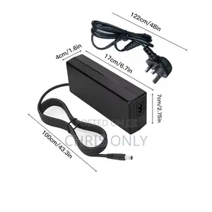 Electric Bike Charger