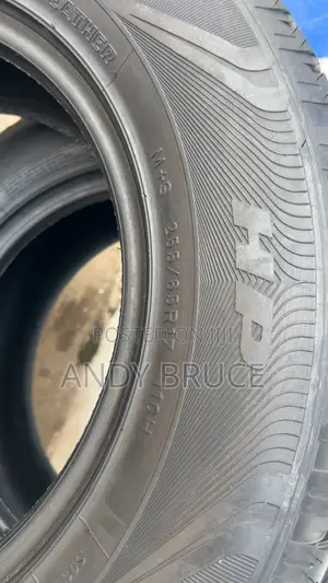 Orange Tires