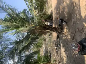 One Plot for Sale at East Legon Hills.