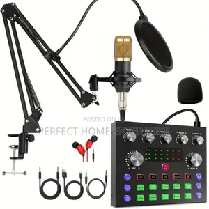 Professional Microphone Condenser