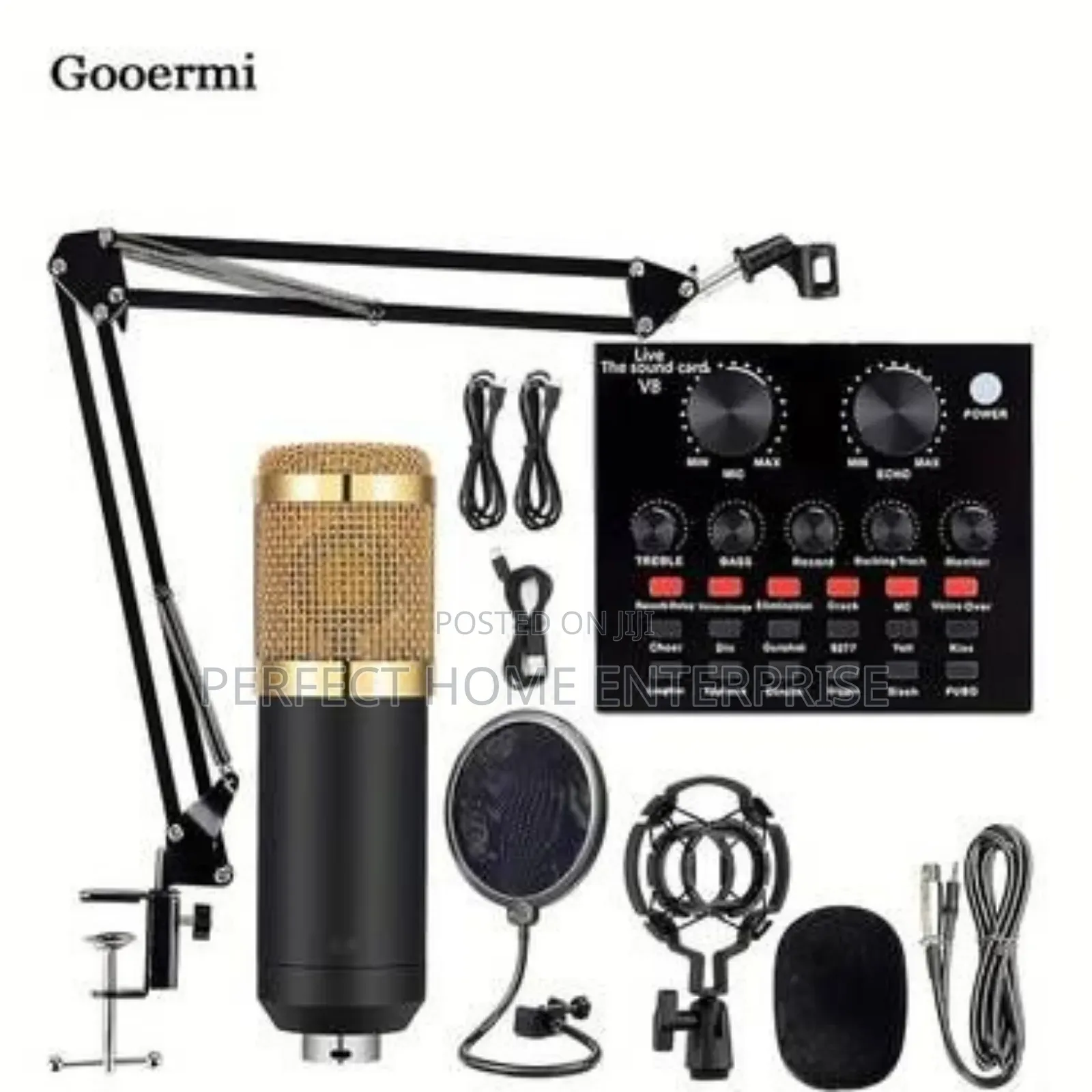 Professional Microphone Condenser