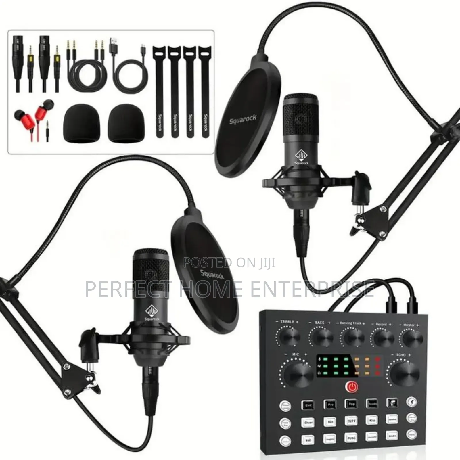 Professional Microphone Condenser
