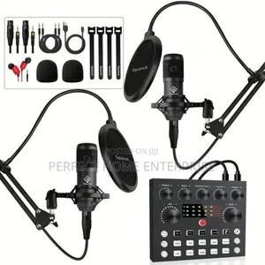 Professional Microphone Condenser