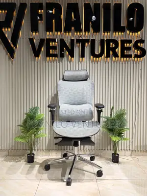 3d Ergonomic Office Chair