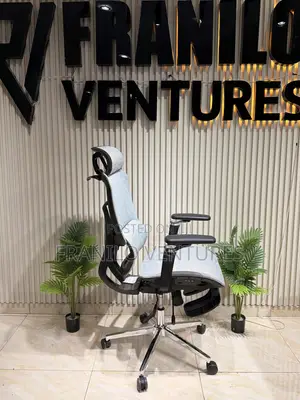 3d Ergonomic Office Chair