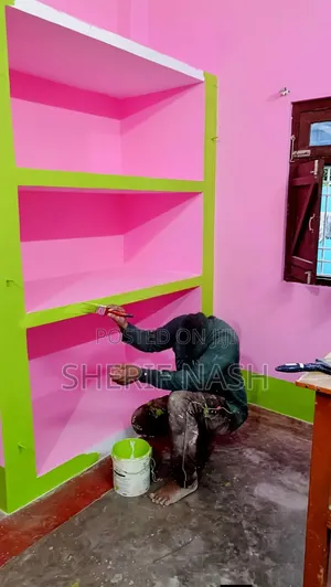 Professional Painter